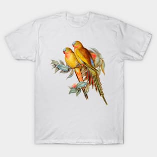 Princess of Wales Parakeet Vintage Illustration T-Shirt